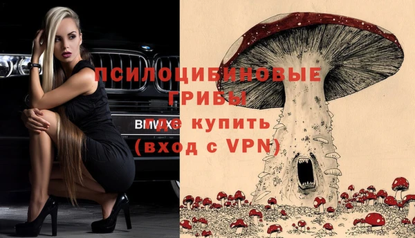 а пвп мука Армянск