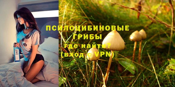а пвп мука Армянск