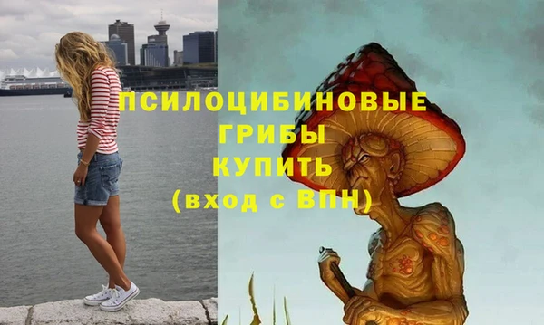 а пвп мука Армянск