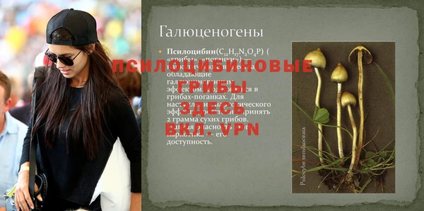прущая мука Арсеньев